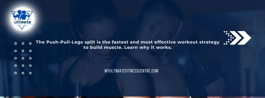 What is the best workout split to build muscle fast