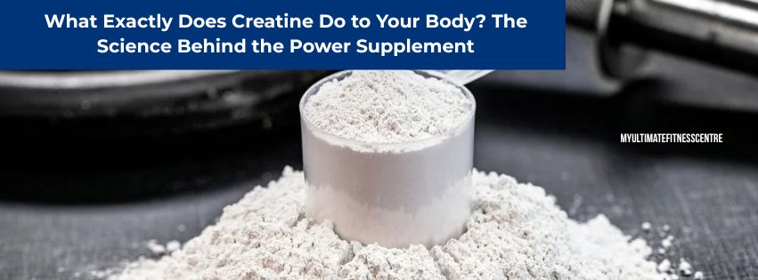 What does creatine do to your body?